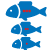 icon2bio