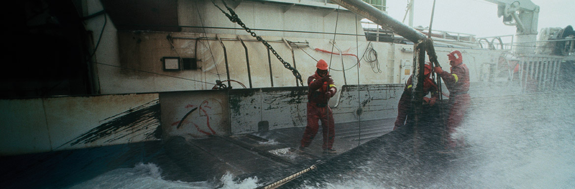 Surviving the waves